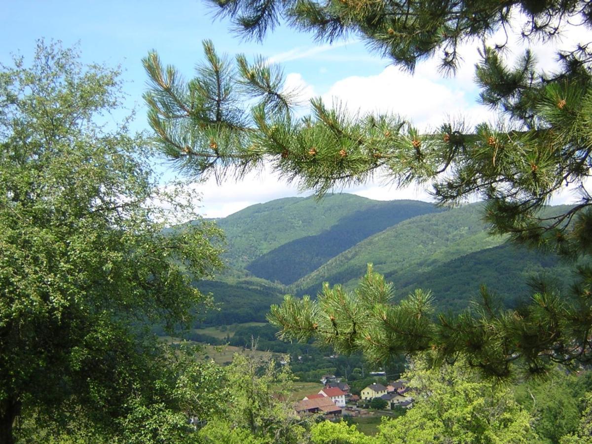 Gite Leonline Sur Les Hauteurs De Masevaux -Au Pied Des Vosges Екстериор снимка
