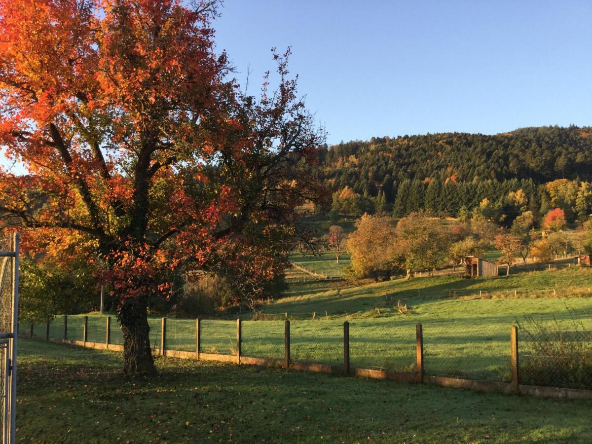 Gite Leonline Sur Les Hauteurs De Masevaux -Au Pied Des Vosges Екстериор снимка