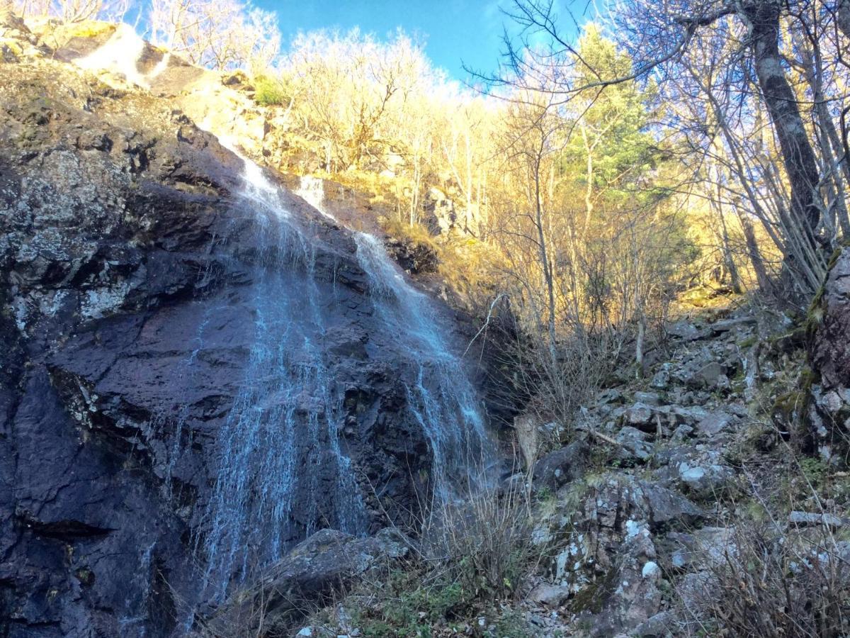 Gite Leonline Sur Les Hauteurs De Masevaux -Au Pied Des Vosges Екстериор снимка