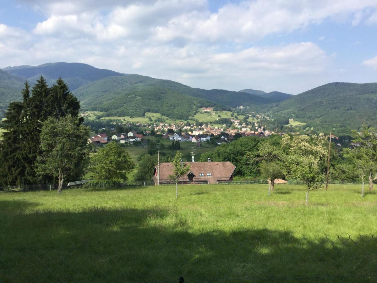 Gite Leonline Sur Les Hauteurs De Masevaux -Au Pied Des Vosges Екстериор снимка