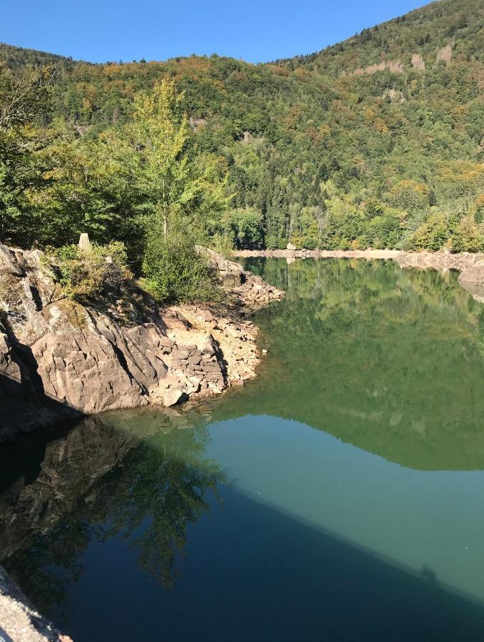 Gite Leonline Sur Les Hauteurs De Masevaux -Au Pied Des Vosges Екстериор снимка