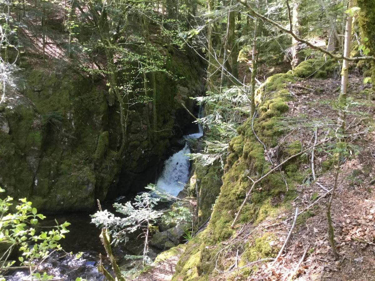 Gite Leonline Sur Les Hauteurs De Masevaux -Au Pied Des Vosges Екстериор снимка