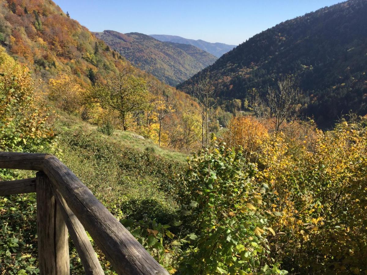 Gite Leonline Sur Les Hauteurs De Masevaux -Au Pied Des Vosges Екстериор снимка