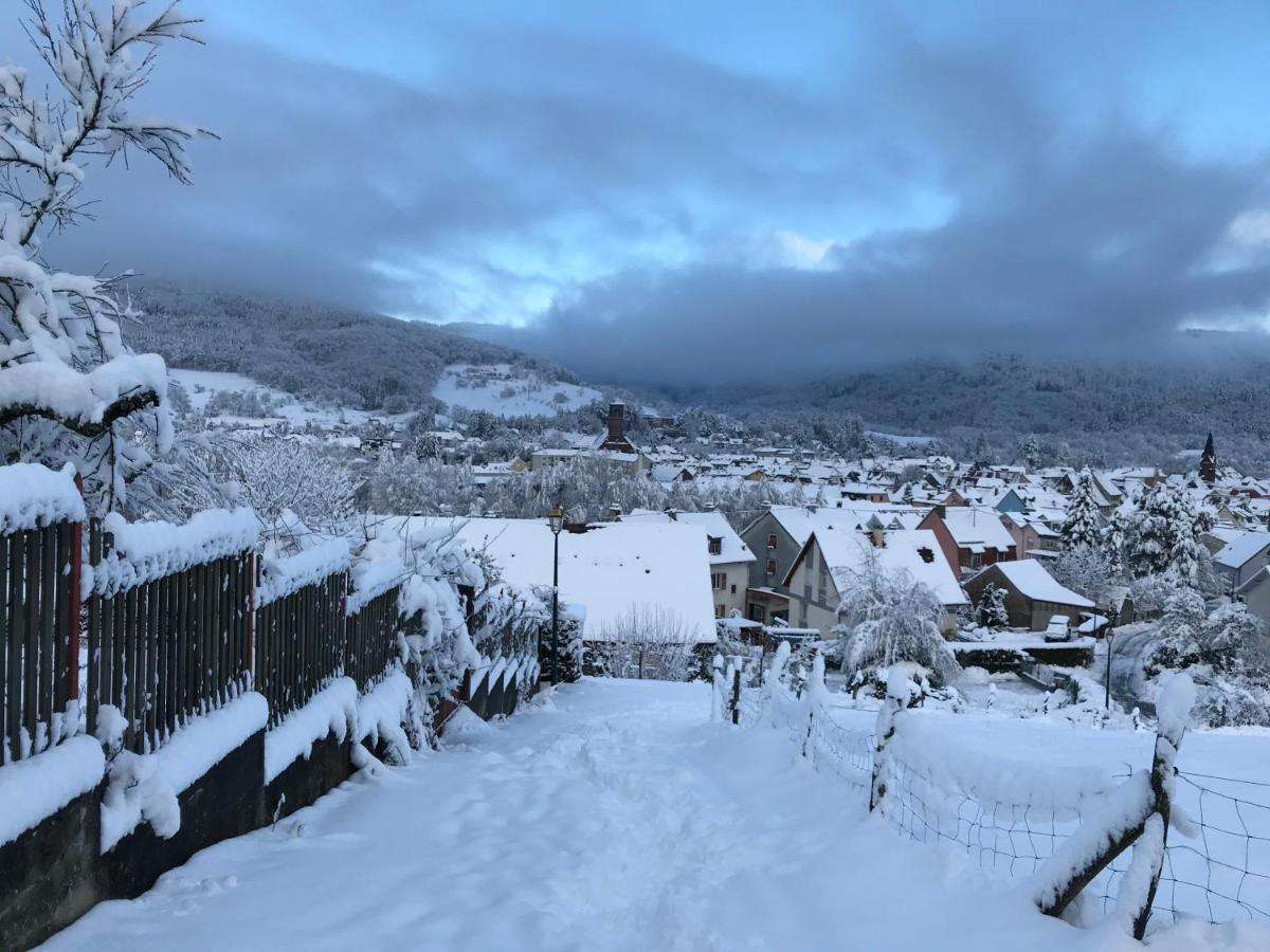 Gite Leonline Sur Les Hauteurs De Masevaux -Au Pied Des Vosges Екстериор снимка
