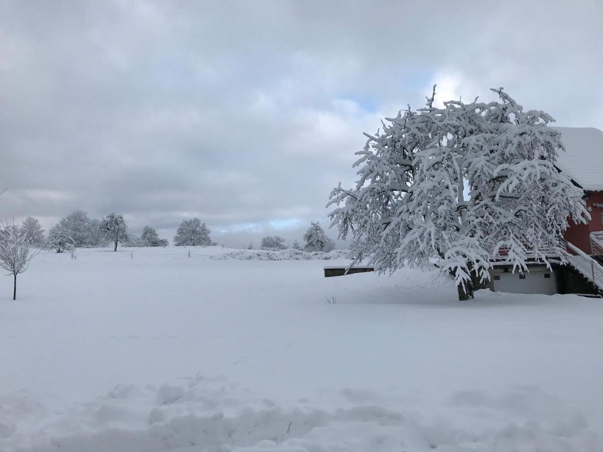 Gite Leonline Sur Les Hauteurs De Masevaux -Au Pied Des Vosges Екстериор снимка
